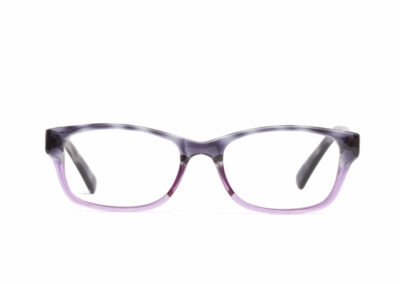 Saul glasses frames in purple/grey tort | Mr Foureyes prescription glasses online